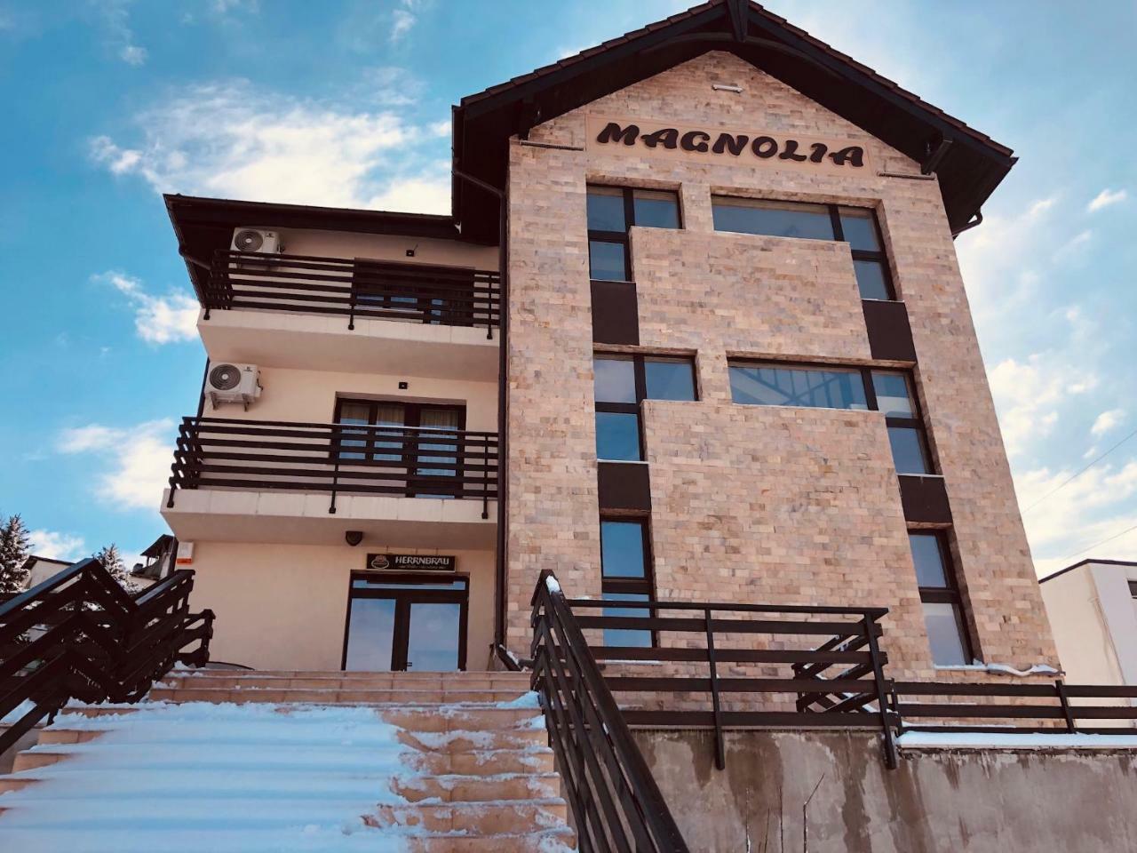 Pensiunea Magnolia クラヨーヴァ エクステリア 写真